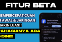 Facebook Beta: Cara Mempercepat Monetisasi Bagi Pemula