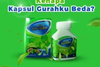 Kapsul Gurahku: Herbal Alami Pereda Batuk Menahun